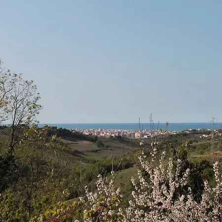 Azzurra
