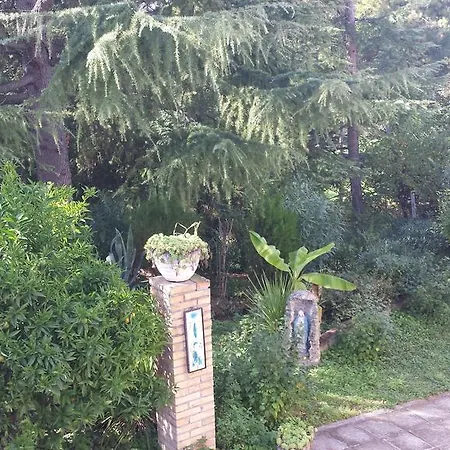 Bed & Breakfast Azzurra *