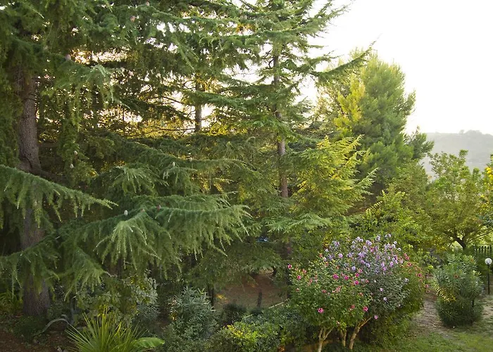 Azzurra 페스카라