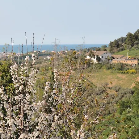 Azzurra Bed and breakfast