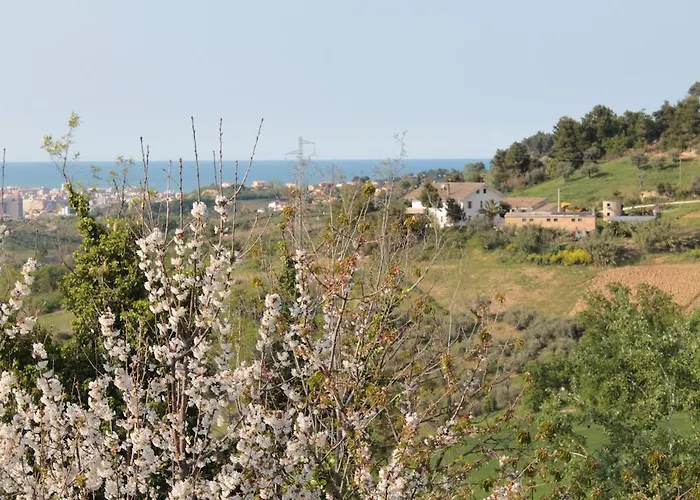 Azzurra Bed and breakfast